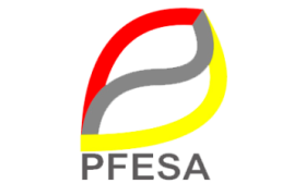 PFESA-SOFOM-ENTIDAD-FINANICERA-SOFOMES-370x250