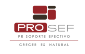 PROSEF-370x250-1-300x203