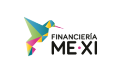 financiera mexi-ASOFOM-SOFOM-FINANCIERA-PRESTAMOS-REGION-CENTRO-A-370x250-1-300x203-1